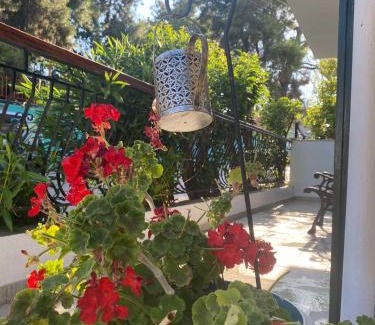 Sithonia Apartment | ANASTASIAS HOUSE