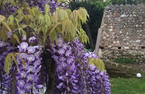 Sandra Villa | Ancient villa renovated in the central context of the Sandrà hamlet