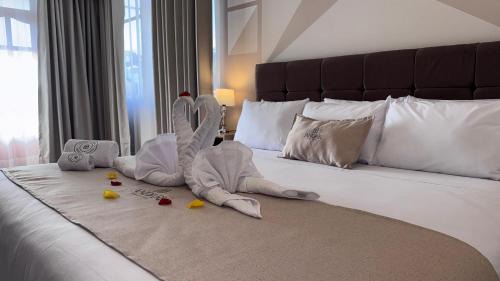 Historical Center Hotel | Andari Hoteles