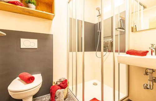 Dorfgastein Apartment | Anderlbauer