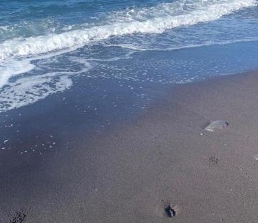 Santa Teresa di Riva Apartment | Andi Casa - Sicilia - vista mare