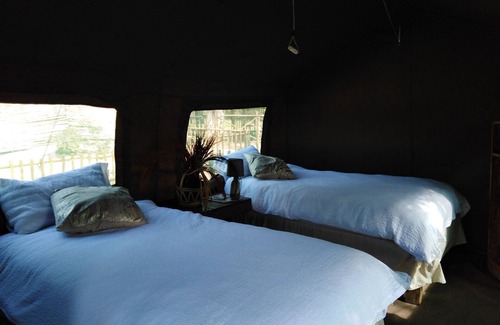 Thorny Bush Game Reserve Other | Andova Tented Camp