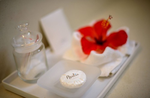 Flic-en-Flac Resort | Anelia Resort & Spa