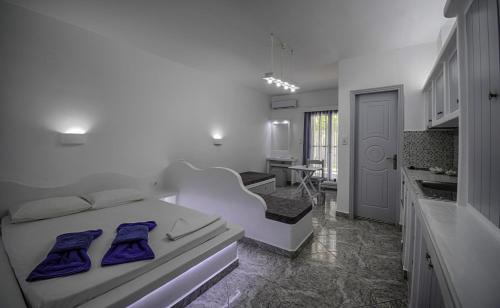 Adamas Hotel | Anerousses