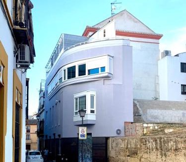 San Vicente Apartment | Angel 2B