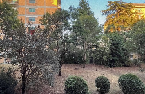 Monte Sacro Apartment | Angelini House