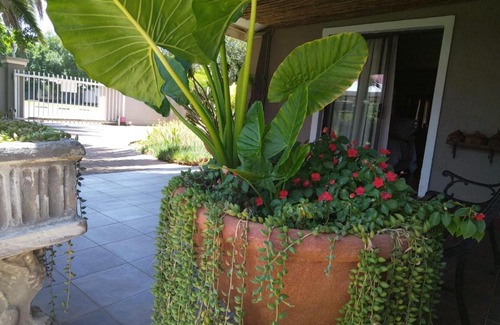 Welkom House | Angels Creek guesthouse