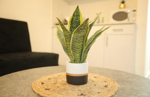 Eilat Apartment | Angels