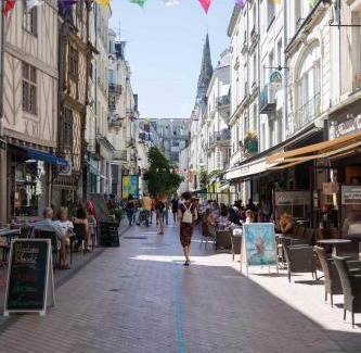 Downtown Angers Apartment | Angers Hyper Centre - Rue St Laud, 2min Ralliement