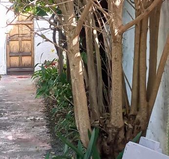 Colesberg House | Anhuis