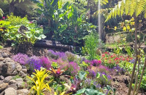 Whitianga House | Annabells B&B