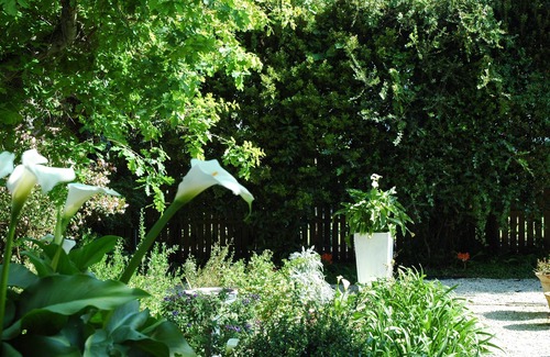 Eastcliff Cottage | Annexe Self Catering Cottage