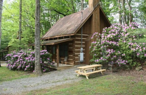 Rocky Grove Cabin | Another Peaceful Creekside Cabin Near Gatlinburg/Pigeon Forge -PRICE MATCH RATES