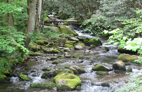 Rocky Grove Cabin | Another Peaceful Creekside Cabin Near Gatlinburg/Pigeon Forge -PRICE MATCH RATES