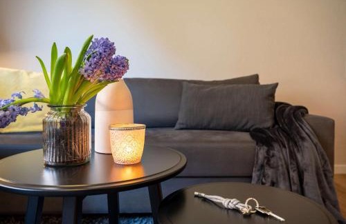 Spiekeroog Apartment | Antares Spiekerooger Gästehaus-Sonnengartenbalkon SüdWest - Wohnung 4