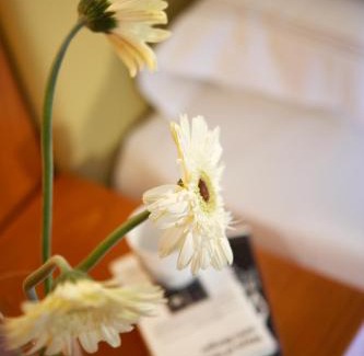 Elia Nikitis Resort | Anthemus Sea Beach Hotel and Spa