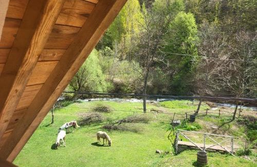Stara Planina Apartment | Antić apartmani Stara planina