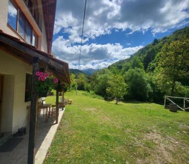 Stara Planina Apartment | Antić apartmani Stara planina
