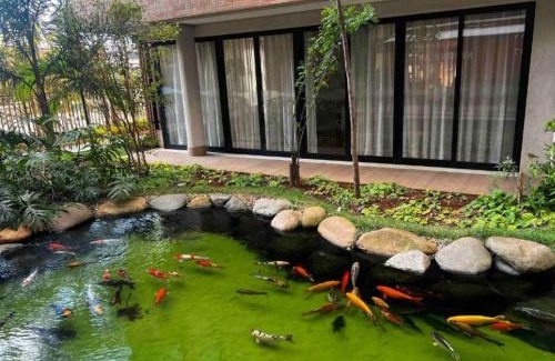 Bras Apartment | Ap Garden em Resort Brás, Expo Center