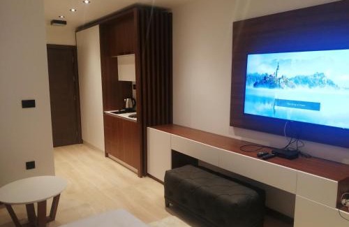 Kopaonik Apartment | Apart Hotel & spa Zoned II, Kopaonik, apartman Lukač - special benifit Children up to 13 of age accompanied by two adutls staj for free! FREE PARKING!