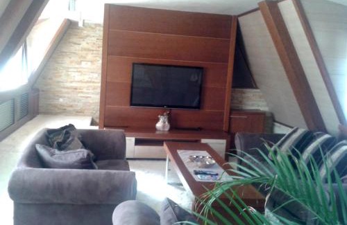 Kopaonik Hotel | Apart & Spa Zoned