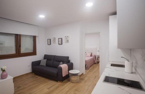 San Vicente de la Barquera Apartment | Apartamento Felisa A
