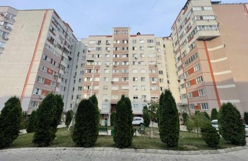 Riscani Apartment | Apartament 2 camere