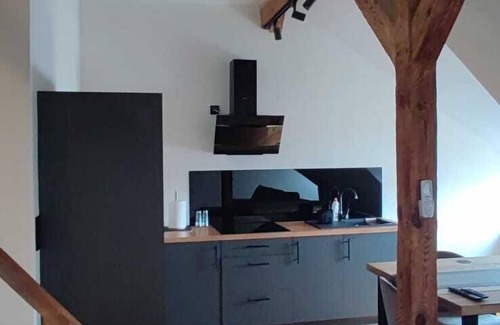 Torun Apartment | Apartament Agwenna