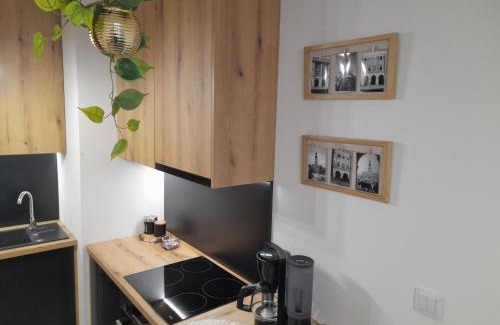Zamosc Apartment | Apartament Amelia