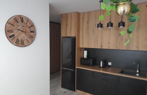 Zamosc Apartment | Apartament Amelia
