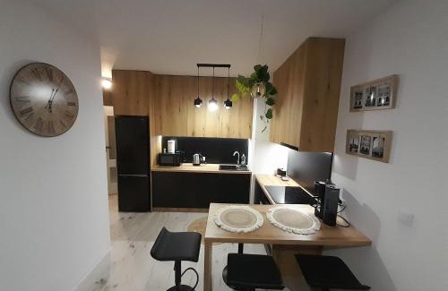 Zamosc Apartment | Apartament Amelia