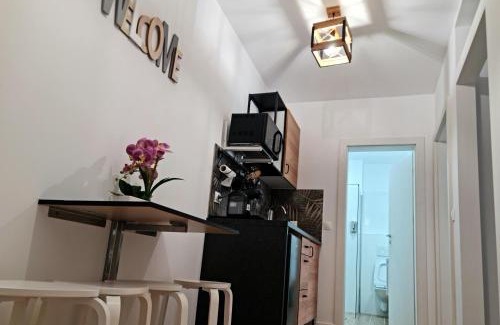 Alba Iulia Apartment | APARTAMENT ANTIK No6 ALBA IULIA