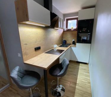 Stronie Slaskie Apartment | Apartament Artemida Kletno