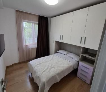 Fagaras Apartment | Apartament Bianca