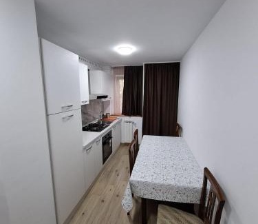 Fagaras Apartment | Apartament Bianca