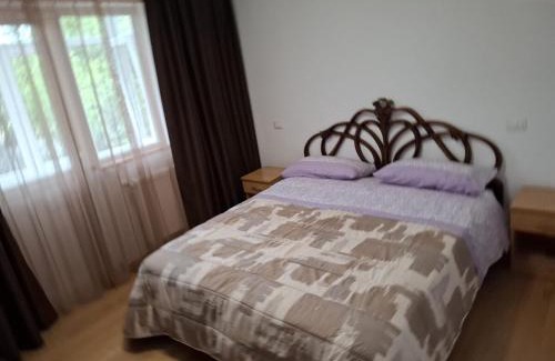 Fagaras Apartment | Apartament Bianca