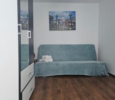 Baile Herculane Apartment | Apartament Cerna