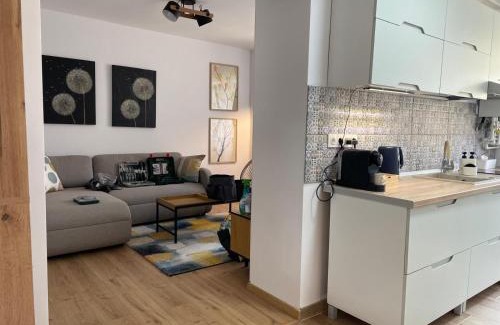 Hunedoara Apartment | Apartament Corvin 3