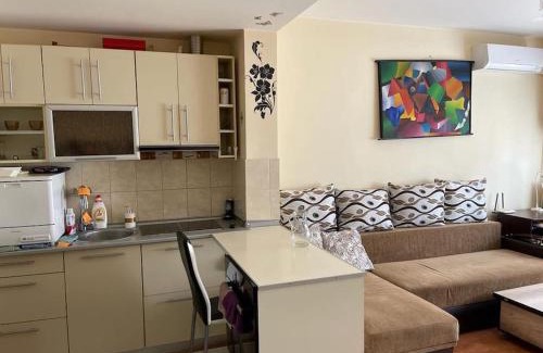Satu Mare Apartment | Apartament cu un dormitor/One bedroom apartment