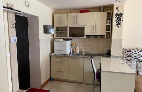 Satu Mare Apartment | Apartament cu un dormitor/One bedroom apartment