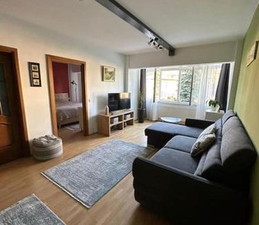 Gura Humorului Apartment | Apartament de lux, zona centrala