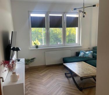 Wrzeszcz Apartment | Apartament dwa pokoje