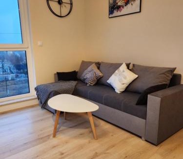 Bydgoszcz Apartment | Apartament Golden Dragonfly