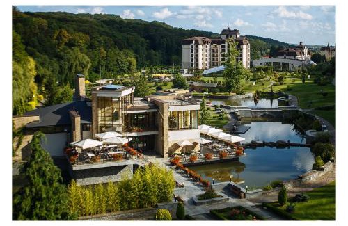 Nyzhnje Solotvyno Apartment | Apartament Hotel by Derenivska Kupil