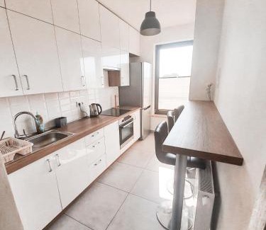 Grzegorzki House | Apartament Kraków Arena No. 100