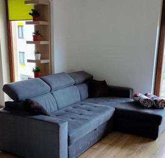 Lubin Apartment | Apartament Kwiatowy klimatyzowany
