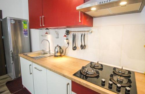 Old Town Apartment | Apartament Lublin Stare Miasto „Wild Cat II”