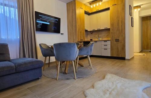 Busteni Apartment | Apartament Matei Busteni