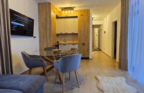 Busteni Apartment | Apartament Matei Busteni