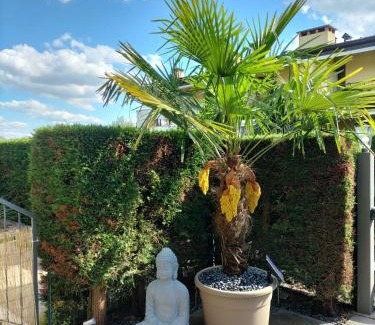 Colà Di Lazise Apartment | Apartament Nadine